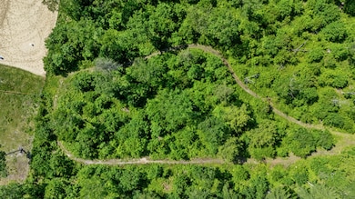 295 buxton rd, saco drone-8