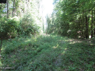 0 Bend Rd unit 4113999, Vaughan, MS 39179 - photo 5