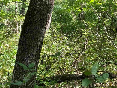 14.14 ac Smock Valley Rd, Browntown, WI 53522 - photo 3