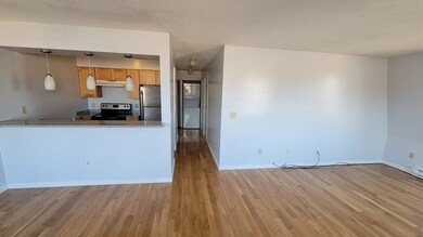 59-69 Msgr Patrick j Lydon Way unit 402, Boston, MA 02124 - photo 5