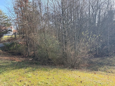 Lot 6 Blue Byrd Ln, Kodak, TN 37764 - photo 7