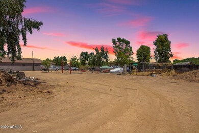 29th backyard