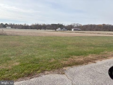 343 Thorntown Rd, Middletown, DE 19709 - photo 4