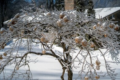 193 Hillcrest Rd, Manchester Center, VT 05255 - photo 2