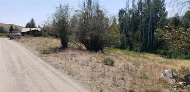 2 S Apple Way, Winthrop, WA 98862 - photo 4