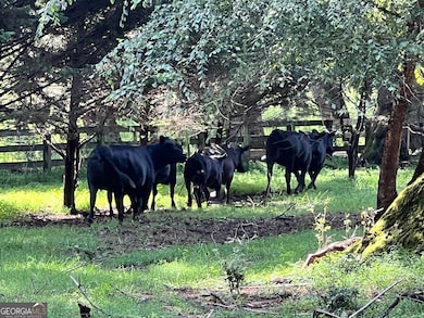 6223 Hulsey Rd, Clermont, GA 30527 - photo 6