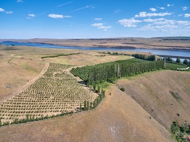 17 Sundale Dr, Roosevelt, WA 99356 - photo 3