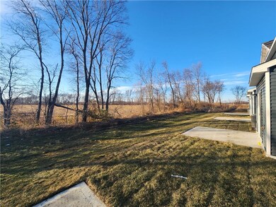Backyard View!