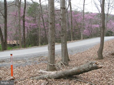 0 Settlers Valley Way unit 1000146727, Lost River, WV 26810 - photo 2