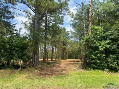 View of tree filled area