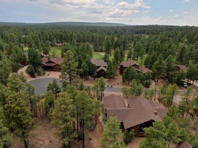 DJI_0204