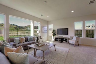 21051 Pinot Noir Dr, Patterson, CA 95363 - photo 3