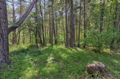 3635 Wards Creek Rd, Rogue River, OR 97537 - photo 3