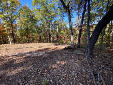 22 Carew Dr, Bella Vista, AR 72714 - photo 4