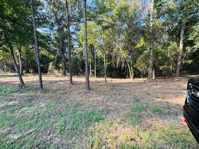 TBD Par Road 266, Franklinton, LA 70438 - photo 2