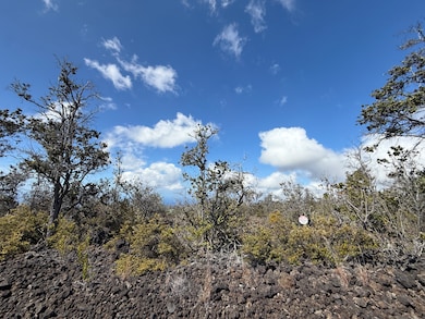 Pretty natural landscape w/ocean views beyond.