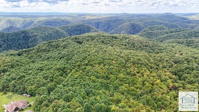 0 Bent School Rd, Meadows of Dan, VA 24120 - photo 3