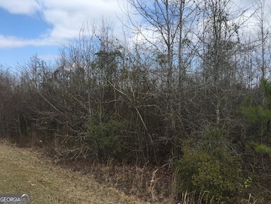 0 Dennard Hardy Rd unit 10460790, Gordon, GA 31031 - photo 4