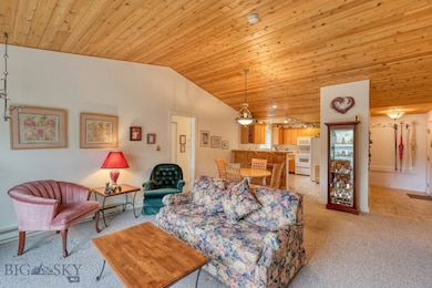 Tongue and Groove Ceiling