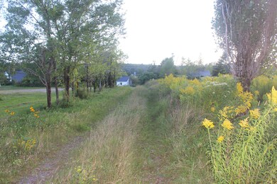 IMG_3722