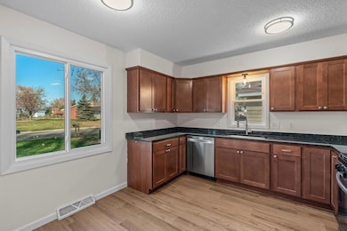 3417 77th Ave N, Minneapolis, MN 55443 - photo 6