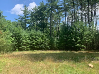 22 Trailside Way, Bridgton, ME 04009 - photo 7