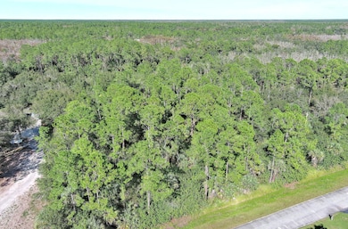 4669 32nd Ave SE, Rural Estates, FL 34117 - photo 3