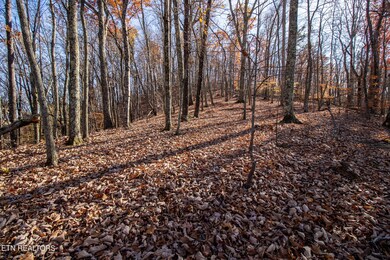 2020 Ruritan Rd, Harriman, TN 37748 - photo 7