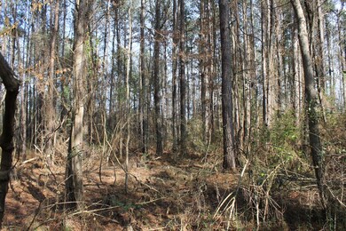 0 River Bend Rd, Columbia, MS 39429 - photo 4