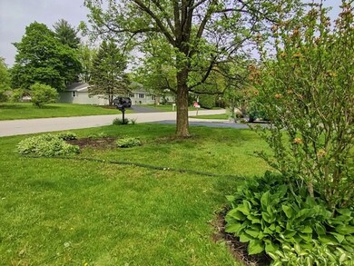 2535 Hickory Rd, Homewood, IL 60430 - photo 4