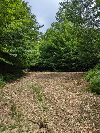 Off W Salisbury Rd unit 7, Salisbury, NH 03268 - photo 5