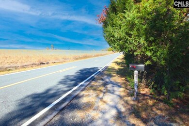 1679 McCreight Rd, Ridge Spring, SC 29129 - photo 4