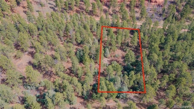 8257 Bannock Dr, Larkspur, CO 80118 - photo 6