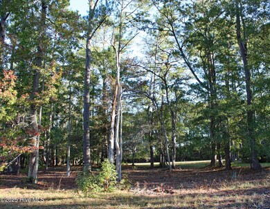 598 Lindgrove Place SW, Ocean Isle Beach, NC 28469 - photo 7