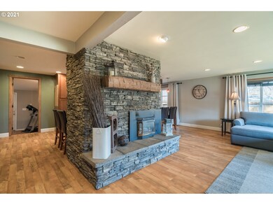 Fireplace Gas Burning Stove/Insert