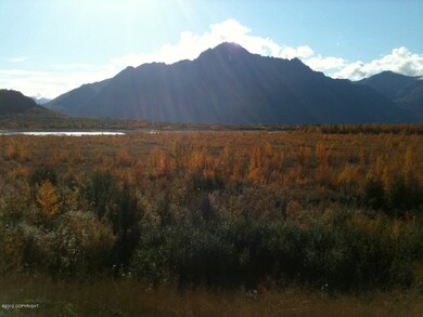 View of Pioneer Peak