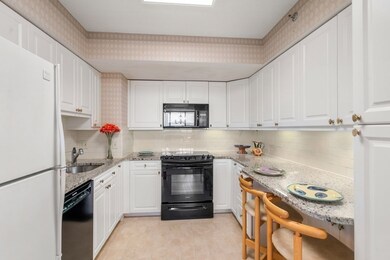 250 Hammond Pond Pkwy unit 1110, Chestnut Hill, MA 02467 - photo 5