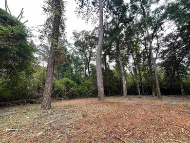 0 Palomino Rd, Crawfordville, FL 32327 - photo 3
