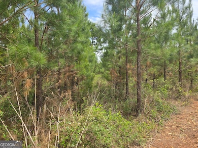 034 Beckwith Rd, Ellaville, GA 31806 - photo 3