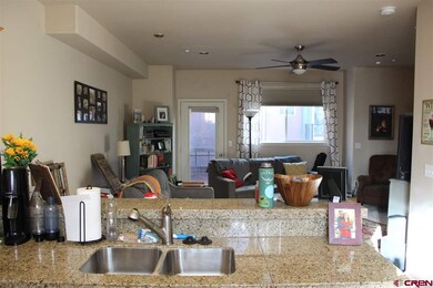E 7th Ave unit B3, Durango, CO 81301 - photo 5