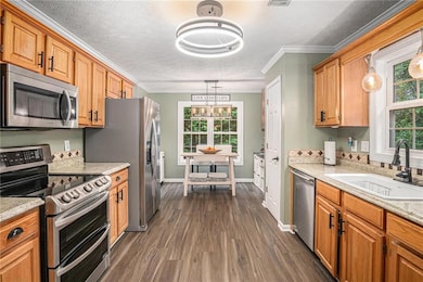 Kitchen with stainless steel appliances, a sink, dark wood finished floors, hanging light fixtures, and ornamental molding