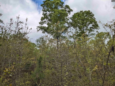 2206 Highway 1 S, Elgin, SC 29045 - photo 5