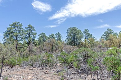 400 N Maranantha Rd unit 3, Payson, AZ 85541 - photo 5