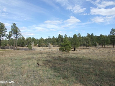 2925 Buckskin Canyon Rd, Heber-Overgaard, AZ 85928 - photo 5