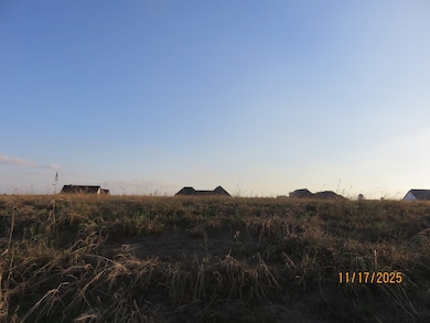 Lot 8B Ty Ln, Princeton, TX 75407 - photo 4