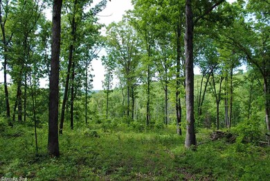 12641 Oak Grove Rd, Winslow, AR 72959 - photo 5