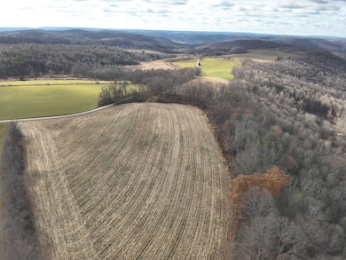 0 Tuhro Rd, Athens, PA 18810 - photo 2