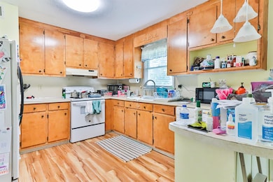 Kitchen with sink, refrigerator, light wood-type f