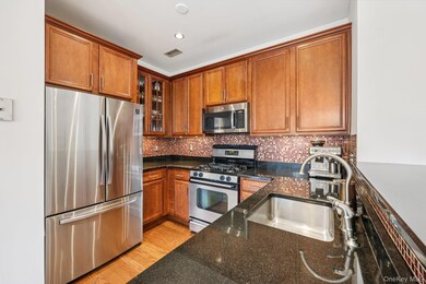 Wellington Greene unit 202, Port Chester, NY 10573 - photo 3