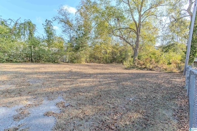 8021 Highway 31, Calera, AL 35040 - photo 4